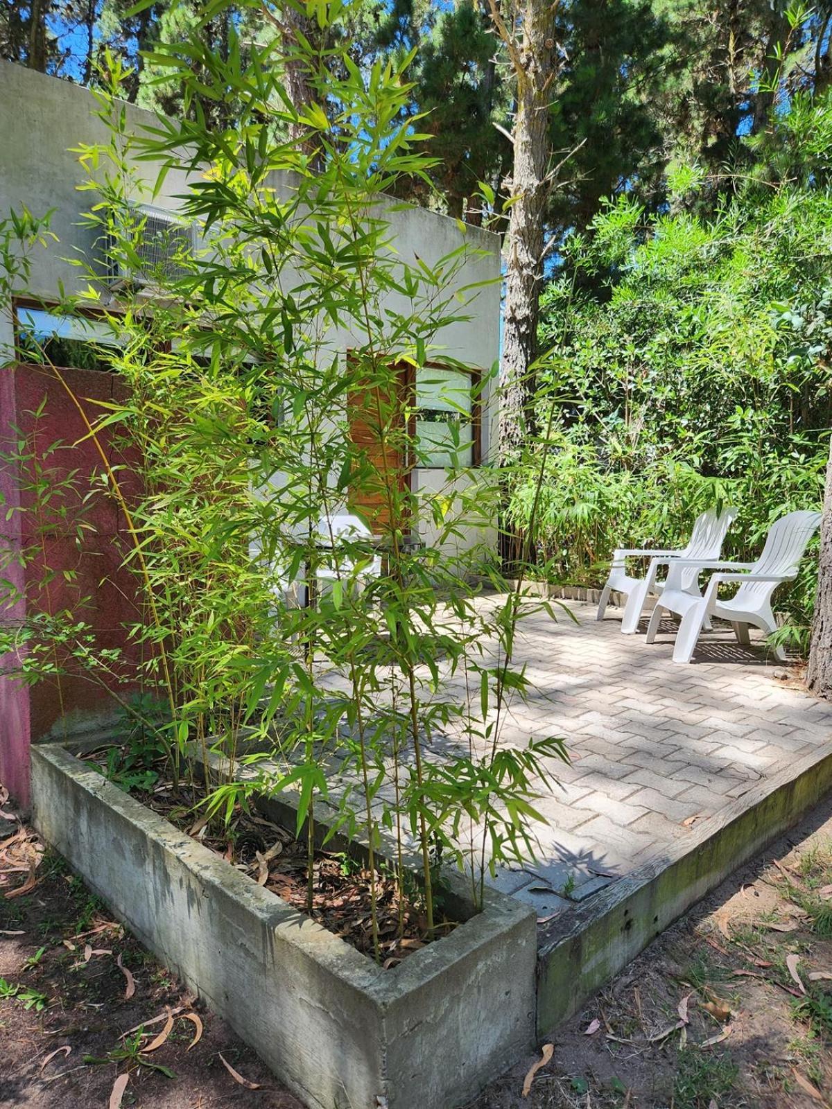 马德拉潘帕斯Olivo De Bohemia公寓式酒店 外观 照片